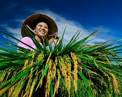 Lancement du concours de photos «Vietnam-Beauté éternelle»